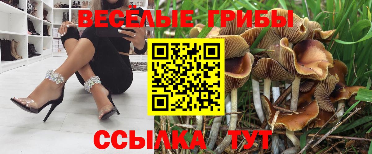 Псилоцибиновые грибы MAGIC MUSHROOMS Ковров