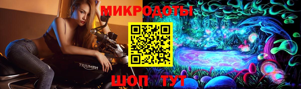 закладки  Галлюциногенные грибы GOLDEN TEACHER  Ковров  Вход с VPN  Псилоцибиновые грибы Psilocybe 
